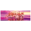 Puzzle Flamingó tánc Panoráma 1000 db-os Clementoni