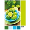 Puzzle Pantone Zöld Lime 1000 db-os Clementoni
