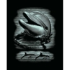 Mammut Delfin ezüst képkarcoló készlet 20x25 cm
