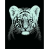 Mammut Kis tigris mini ezüst képkarcoló készlet 11x18 cm