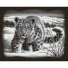 Mammut Leopárd ezüst képkarcoló készlet 20x25 cm