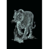 Mammut Tigris mini ezüst képkarcoló készlet 11x18 cm