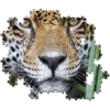 Puzzle Jaguár a dzsungelben 500 db-os Clementoni (35127)