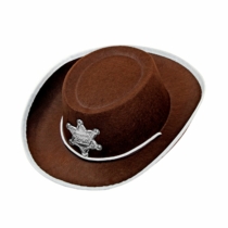 Cow-boy barna kalap jelvénnyel
