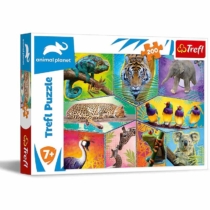 Puzzle Animal Planet vadvilág kollázs 200 db-os Trefl