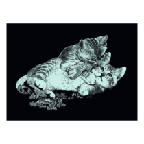 Mammut kismacska ezüst képkarcoló készlet 25,2x20 cm