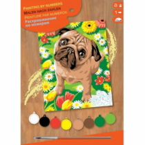 Mammut Mops kutya számfestő készlet akrilfestékkel és ecsettel