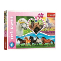 Puzzle Beautyful horses 200 db-os Trefl